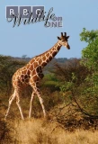Poster for Wildlife on One