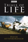 Poster for The Trials of Life: A Natural History of Behaviour