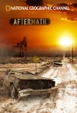 Poster for Aftermath