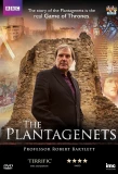 Poster for The Plantagenets