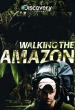 Poster for Walking the Amazon