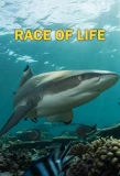 Poster for Race of Life