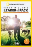 Poster for Cesar Millan's Leader of the Pack