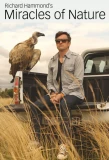 Poster for Richard Hammond's Miracles of Nature