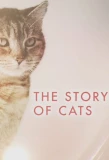 Poster for The Story of Cats