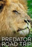 Poster for Predator Road Trip