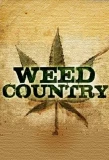 Poster for Weed Country