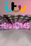 Poster for Perspectives