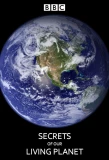 Poster for Secrets of Our Living Planet