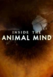 Poster for Inside the Animal Mind