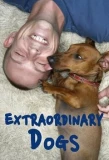 Poster for Extraordinary Dogs