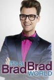 Poster for It's a Brad Brad World