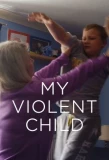 Poster for My Violent Child
