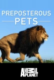 Poster for Preposterous Pets