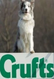 Poster for Crufts