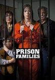 Poster for Prison Families