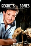 Poster for Secrets of Bones