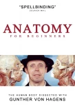 Poster for Anatomy for Beginners