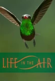 Poster for Life in the Air