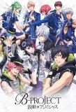 Poster for B-Project