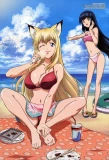 Poster for Wagaya no Oinari-sama