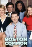 Poster for Boston Common