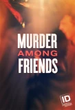 Poster for Murder Among Friends