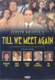 Poster for Till We Meet Again