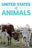 Poster for United States of Animals