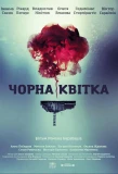 Poster for Чёрный цветок