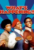 Poster for What's Happening!!
