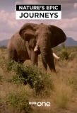 Poster for Nature's Epic Journeys