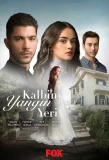 Poster for Kalbim Yangin Yeri