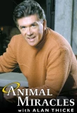Poster for Animal Miracles