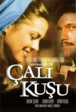 Poster for Çalıkuşu
