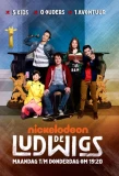 Poster for De Ludwigs