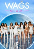 Poster for WAGS: Miami
