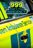 Poster for 999: What's Your Emergency?