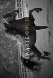 Poster for It Swarte Goud