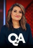 Poster for Q+A