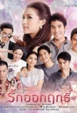 Poster for Ruk Ok Rit