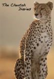Poster for The Cheetah Diaries