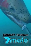 Poster for The Fishing Show