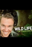 Poster for The Wild Life of Tim Faulkner