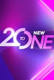 Poster for 20 to One