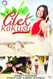 Poster for Çilek Kokusu