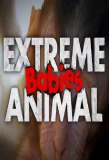 Poster for Extreme Animal Babies