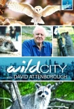 Poster for Wild City