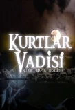 Poster for Kurtlar Vadisi