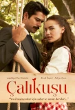 Poster for Çalıkuşu